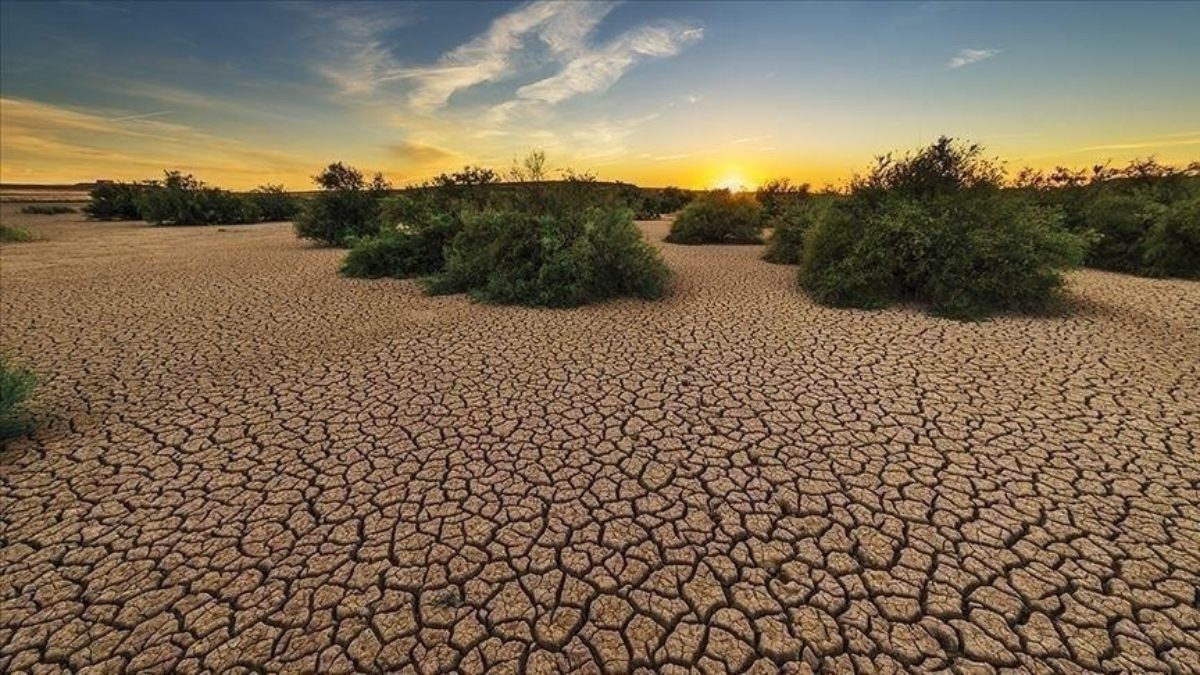 الفلاحة التونسية في مواجهة التغيرات المناخية..   نحو زراعة أكثر تأقلمًا ضمانًا لاستدامة الأمن الغذائي   